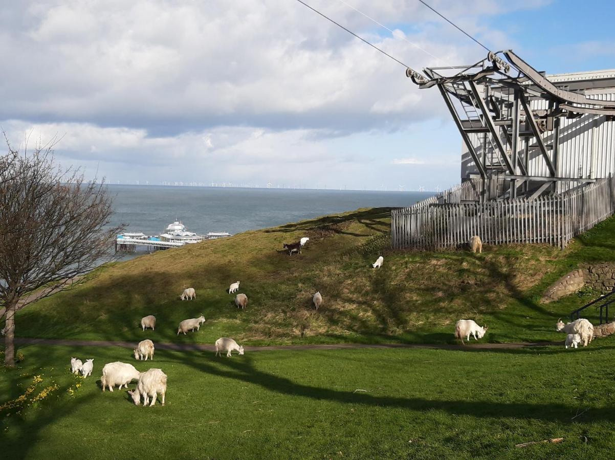Copper Mine Cottage Llandudno Luaran gambar