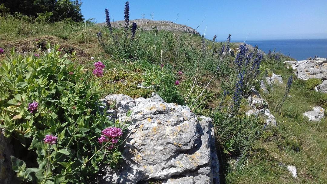 Copper Mine Cottage Llandudno Luaran gambar